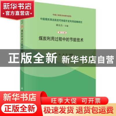 正版 煤炭利用过程中的节能技术 金涌,陈勇等编著 科学出版社 97