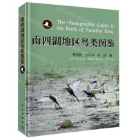 [N]南四湖地区鸟类图鉴(精)-9787030642882