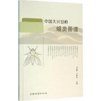 正版新书]中国大兴安岭蛾类图谱王凤霞9787503880490