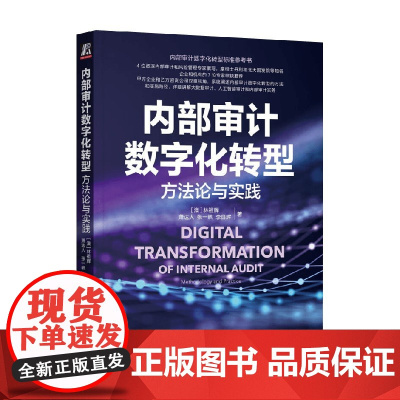 内部审计数字化转型 方法论与实践 林祖辉等 著 管理
