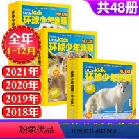 A[共48册]幼儿典藏版2018/2019/2020/2021全年 [正版]典藏版48册环球少年地理幼儿版杂志201