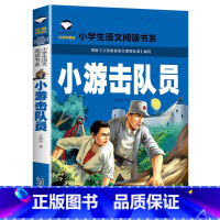 小游击队员 小学通用 [正版]5本20元小学生一段话作文好词好句好段小学生作文起步1-2年级儿童作文书入门注音版小学一二