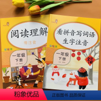 [正版]2本看拼音写词语生字注音人教版小学一年级下册阅读理解语文同步专项训练拼音字词默写拼读训练看图说话写话1年级课外