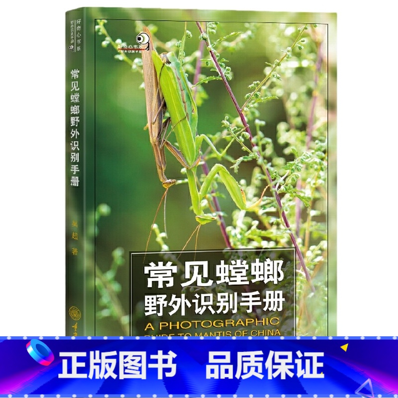 [正版]常见螳螂野外识别手册 好奇心书系 吴波 书中讲述对我国有分布的相对常见且有代表性的77种螳螂的形态特征生活习性