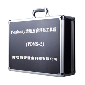 尚智慧童SZHT-PDMS02 Peabody运动发育评估量表工具箱儿童心理解压玩具