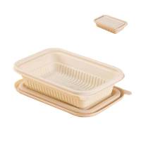 特昂优选 一次性 可降解餐盒 500ml/个