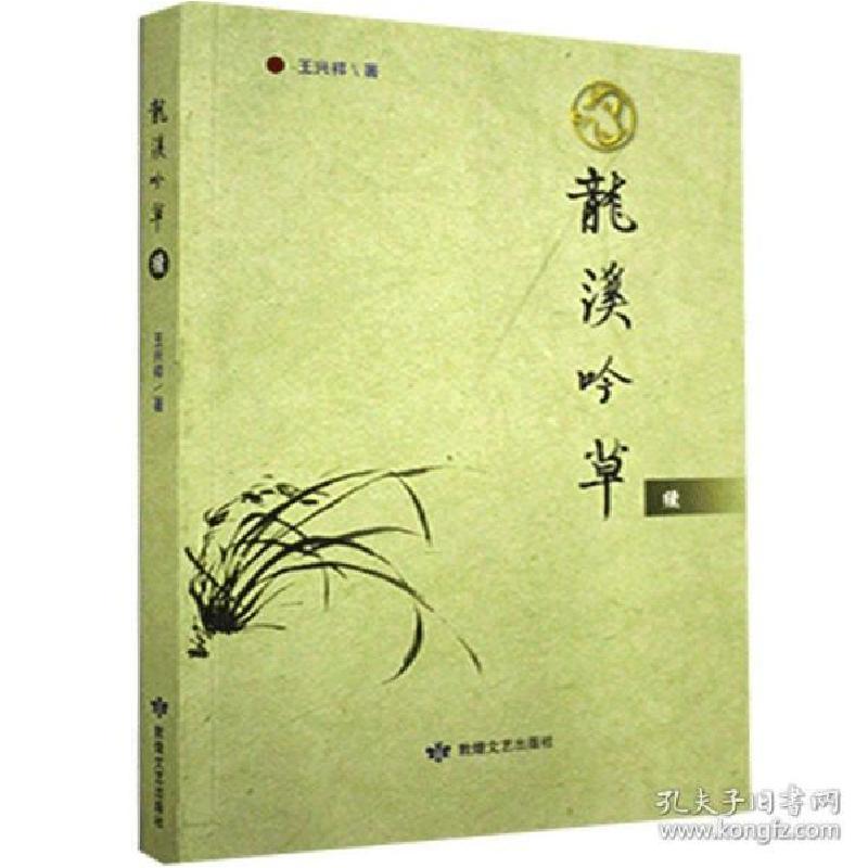正版新书]龙溪吟草续王兴祥9787546819334