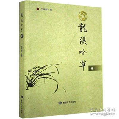 正版新书]龙溪吟草续王兴祥9787546819334