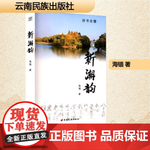 新潮韵 海锚 著 中国现当代文学 文学 云南民族出版社