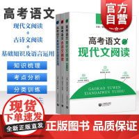 高考语文现代文阅读第2版+古诗文阅读+基础知识及语言运用 高一高二高三高中通用知识梳理上海教育出版社 考点分析分类专项训