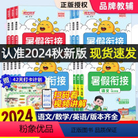 [6本]暑假衔接语数英人教+专项3本 三升四 [正版]2024新版阳光同学暑假衔接一年级二年级三四五六年级上下册暑假作业
