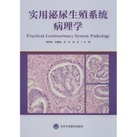 音像实用泌尿生殖系统病理学杨熙明