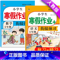 寒假阅读专项训练 小学一年级 [正版]2024寒假阅读理解训练书一年级上册下册衔接作业同步人教版语文专项练习真题小学生必