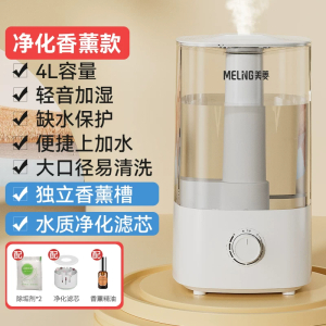 奥克斯加湿器家用音静卧室空调房大雾量桌面空气净化大容量大喷雾 4l双重净化版