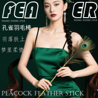 情趣用品sm成年人用品夫妻床上助爱玩具羽毛棒代批发厂家一手货源