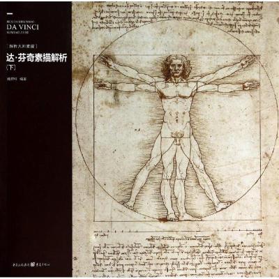 正版新书]解析大师素描:达·芬奇素描解析(下)魏捍红 著978722