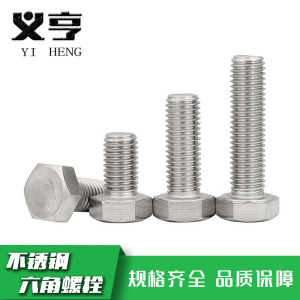 义亨 不锈钢六角螺栓 M6*35 个