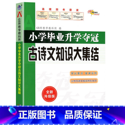 小学古诗文知识大集结 小学升初中 [正版]2023新版 小学毕业升学夺冠 名著知识文学常识 古诗文 成语 字词句训练