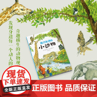 魔法象 我们身边的小动物 (韩)韩永植/著 8-12岁 自然科普 动物科普 自然探险 绘本 儿童故事 广西师范大学