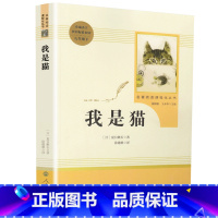 [九年级下册/人教版]我是猫 初中通用 [正版]红星照耀中国昆虫记 水浒传艾青诗选 朝花夕拾西游记人民教育出版社初一二课