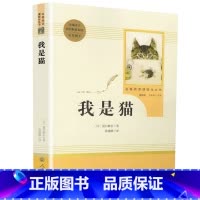 [九年级下册/人教版]我是猫 初中通用 [正版]红星照耀中国昆虫记 水浒传艾青诗选 朝花夕拾西游记人民教育出版社初一二课