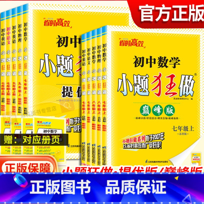[提优版]数学-苏科版 九年级下 [正版]2025春恩波初中语文数学英语物理小题狂做提优版版七八年级上下册苏科九年级江苏