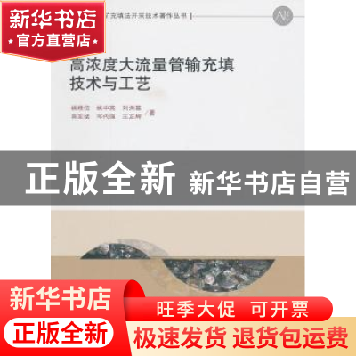 正版 高浓度大流量管输充填技术与工艺 姚维信[等]著 科学出版社