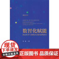 数智化赋能:制造转型与巅覆式创新战略路径