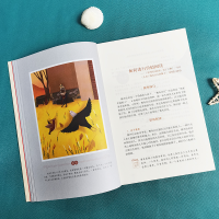 音像非洲民间故事 曼丁之狮 彩插励志版尚金格 等 编