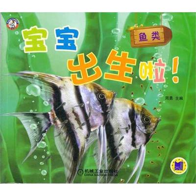 正版新书]宝宝出生啦!鱼类周勇9787111369783
