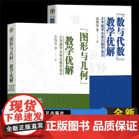 全2册 袁晓萍教育 图形与几何教学优解小学数学大单元教学设计+ 数与代数教学优解小学数学大单元教学设计 长江文艺