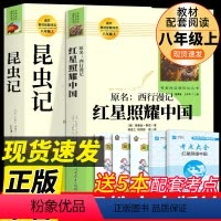 [人教版2册]红星照耀中国和中国昆虫 [正版]全套2册 红星照耀中国和昆虫记必读原著完整版八年级上册初中生课外书籍阅读初