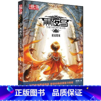 黑夜鸟 [正版]儿童文学金牌作家书系黑夜鸟2迷途夏域 中国少年儿童出版社 9787514811995 黄颖曌