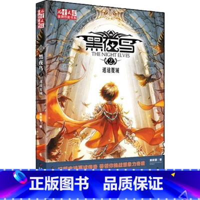 黑夜鸟 [正版]儿童文学金牌作家书系黑夜鸟2迷途夏域 中国少年儿童出版社 9787514811995 黄颖曌
