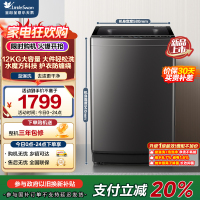小天鹅(LittleSwan)波轮洗衣机全自动12公斤大容量水魔方防缠绕TB12M09T