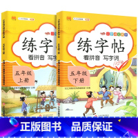 练字帖上册+下册 五年级下 [正版]五年级上册下册语文同步练字帖人教版小学每日一练小学生5下英语pep衡水体写字课课练硬