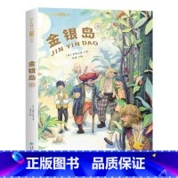 金银岛[彩图注音版] [正版]国际大奖儿童文学小说美绘典藏版原著完整版青少年版经典名著故事书小学生三四五六年级课外书阅读