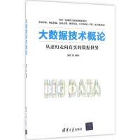 正版新书]大数据技术概论娄岩 编著9787302450511