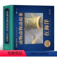 [正版]光栅动画书 动物动物动起来在海洋 光栅图像技术 呈现8种海洋动物的动态效果 浪花朵朵立体科普读物 礼物书
