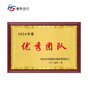 春铁吉印 奖牌 350*500mm 块