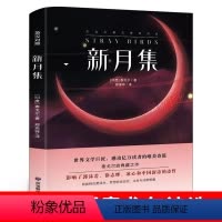 [中英互译]新月集 [正版]巴黎圣母院中英文双语书籍名著读物英汉对照小说全套阅读 巴黎圣母院原著 读名著学英语 高初中生