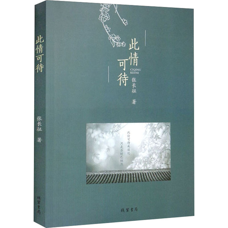 此情可待