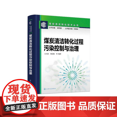 煤炭清洁转化过程污染控制与治理