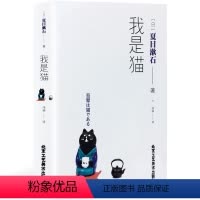 [正版]我是猫 夏目漱石 世界名著小说 外国文学小说书 读物九年级下册初高中学生阅读读物 人类一思考 猫君就发笑