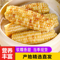 [西沛生鲜]云南新鲜拇指玉米 香糯小玉米 净重8斤 黏玉米甜糯玉米袋装粘玉米黄糯玉米现摘