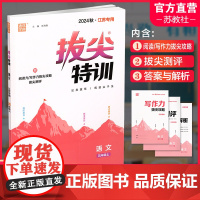 2025秋 拔尖特训 语文 人教版 部编版 五年级上 5上 同步提优训练专项练习一课一练 同步教辅 必刷题 通成学典天天