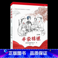 《半条棉被》-湖南少年儿童出版社 [正版]半条棉被湖南少年儿童出版社潇湘电影集团有限公司山西整本书阅读内蒙古书香草原笔墨