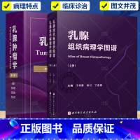 乳腺肿瘤学+乳腺组织病理学图谱 [正版]乳腺肿瘤学第三版+乳腺组织病理学图谱+乳腺MRI诊断学乳腺恶性疾病病例精解乳腺癌