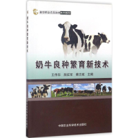 [M]奶牛良种繁育新技术-9787511630520
