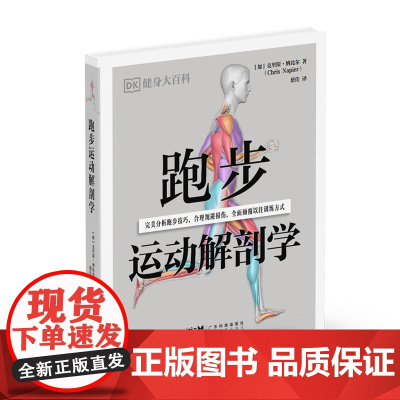 跑步运动解剖学 DK健身大百科丛书 500 多张高清解剖图 精讲发力方式和跑步姿势 高清大图展示 30 个针对力量灵活性